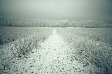 Similar image 10509029