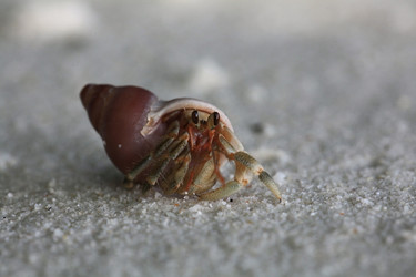 Similar image 10509030