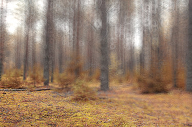 Similar image 10509031