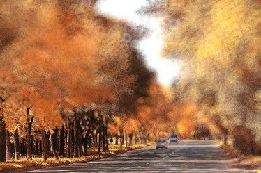 Similar image 10509032