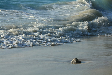 Similar image 10509033