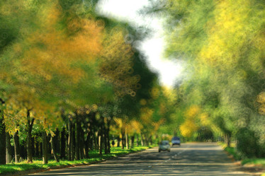 Similar image 10509036