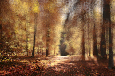 Similar image 10509040