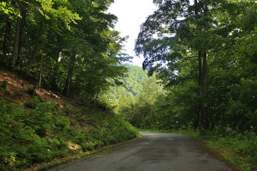 Similar image 10509041