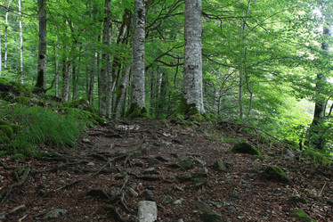 Similar image 10509043