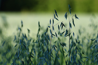 Similar image 10509046