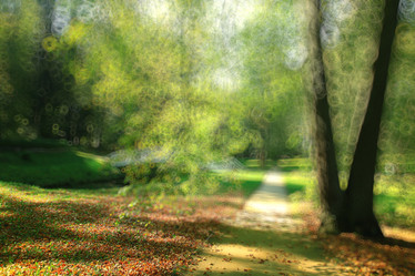 Similar image 10509050