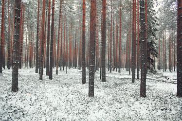 Similar image 10509055