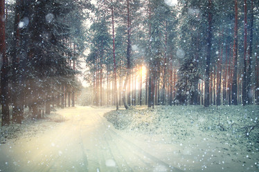 Similar image 10509060