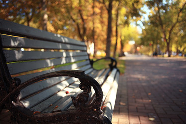 Similar image 10509065