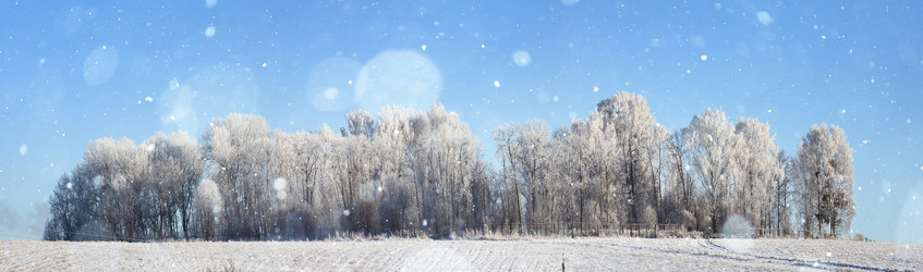 Similar image 10509067