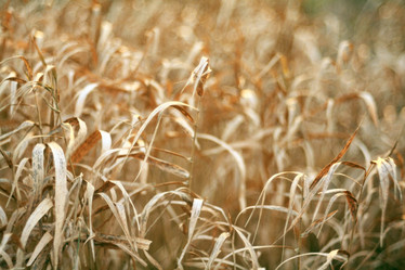 Similar image 10509070