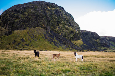 Similar image 10509074