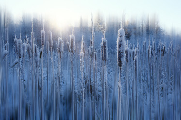 Similar image 10509086