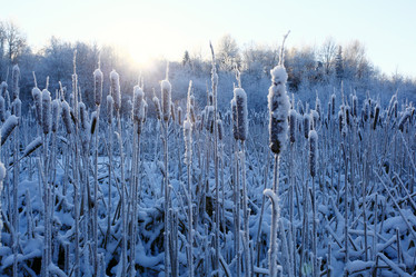 Similar image 10509088