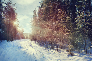 Similar image 10509089