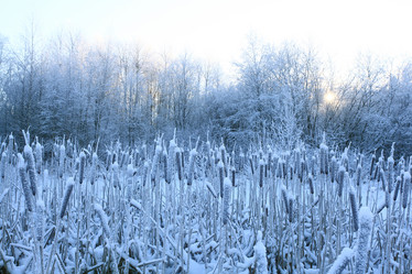 Similar image 10509090