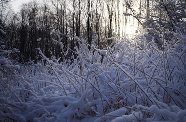 Similar image 10509092