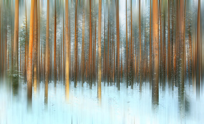 Similar image 10509093