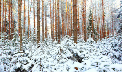 Similar image 10509095