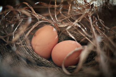 Similar image 10509096