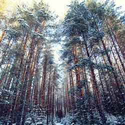 Similar image 10509097