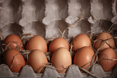 Similar image 10509099