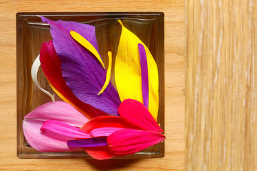 Similar image 10509106