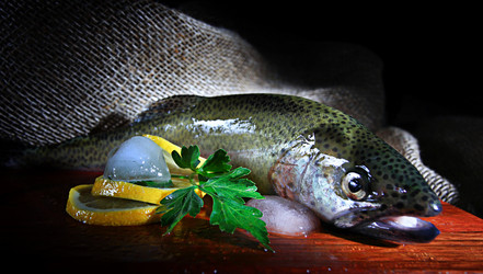 Similar image 10509111