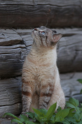 Similar image 10509113