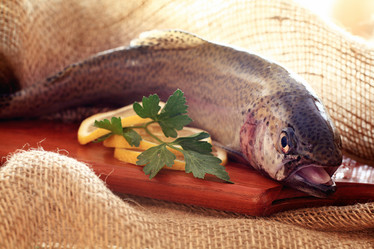 Similar image 10509114