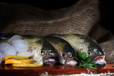 Similar image 10509118