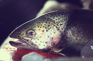 Similar image 10509122