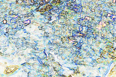 Similar image 10509129