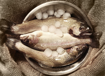 Similar image 10509131