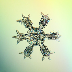 Similar image 10509135