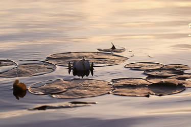 Similar image 10509136