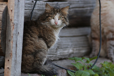 Similar image 10509159