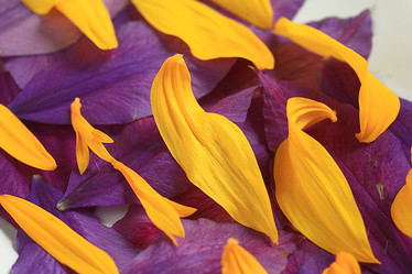 Similar image 10509164