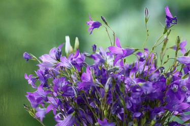 Similar image 10509165