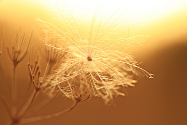 Similar image 10509168