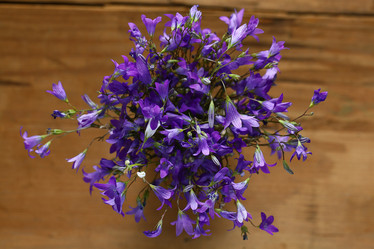 Similar image 10509177