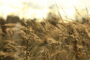 Similar image 10509181