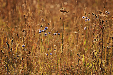 Similar image 10509190