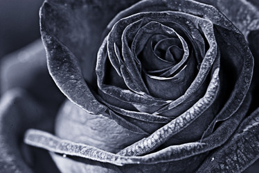 Similar image 10509194