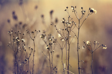 Similar image 10509204