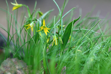 Similar image 10509205