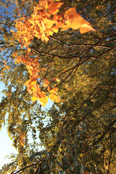 Similar image 10509209