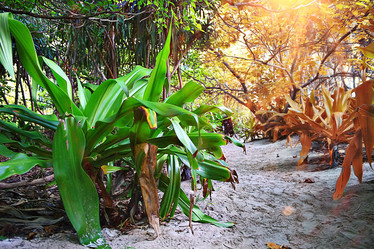 Similar image 10509210