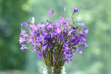 Similar image 10509222